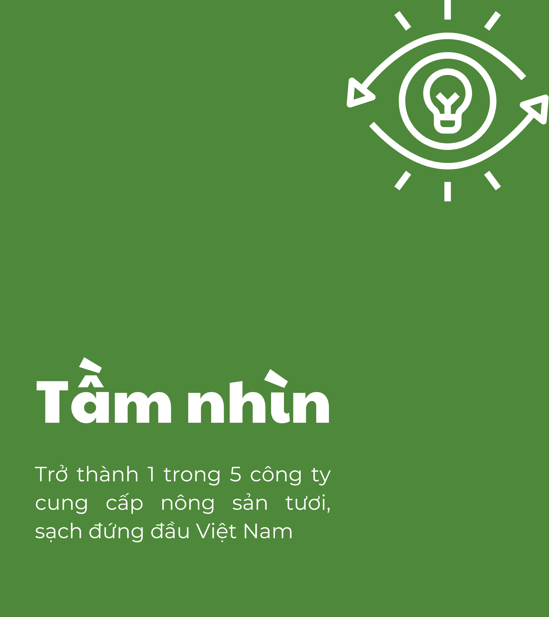 VIET F.A.R.M LIMITED LIABILITY COMPANY